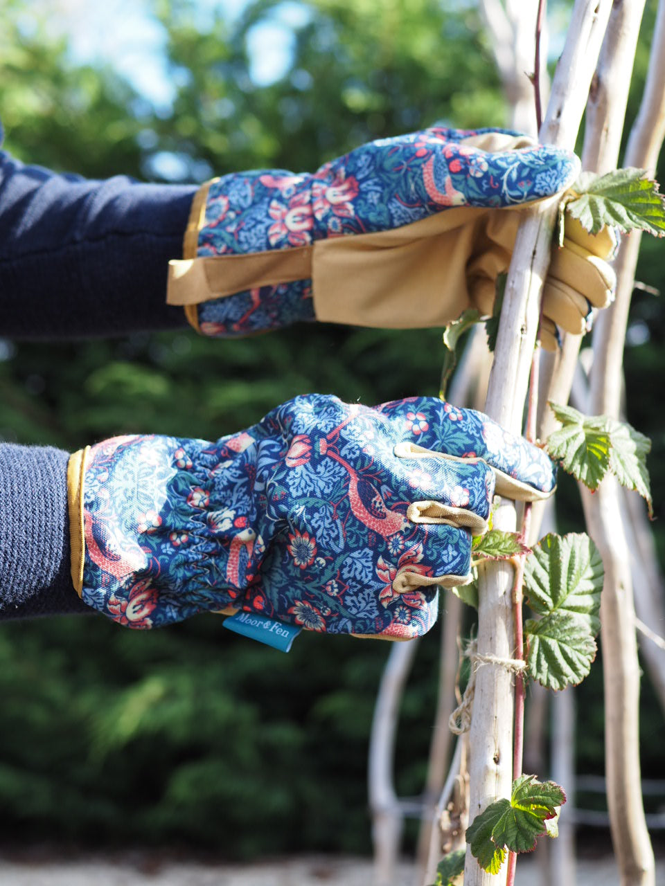 What To Do In Your Garden in October