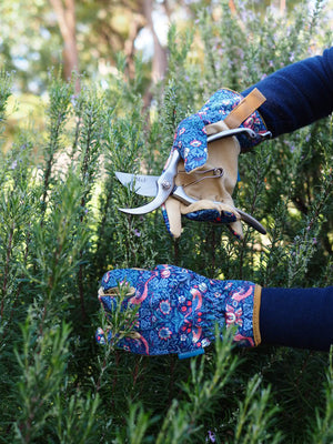 <img src="image.png" alt="best gifts for gardeners"> <img src="image.png" alt="gardening gloves"> <img src="image.png" alt="rosemary"> <img src="image.png" alt="garden"> <img src="image.png" alt="secateurs">