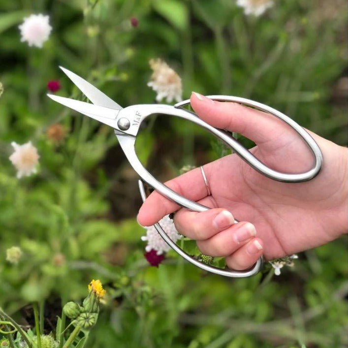 Bonsai Snips Gift Set ⎹ Bonsai Snips ⎹ Small Gift Box